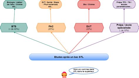 Que faire après un bac STL : les voies scolaires et .